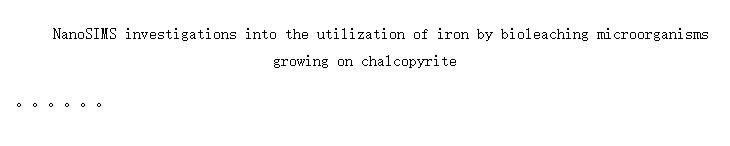 NanoSIMS investigations into the utilization of iron by bioleaching microorganisms growing on chalcopyrite