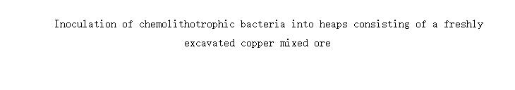 Inoculation of chemolithotrophic bacteria into heaps consisting of a freshly excavated copper mixed ore