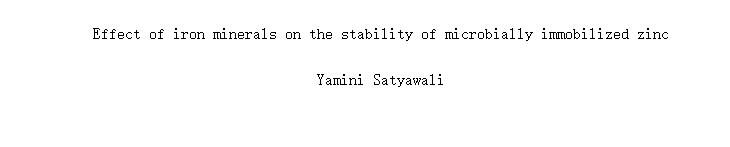 Effect of iron minerals on the stability of microbially immobilized zinc