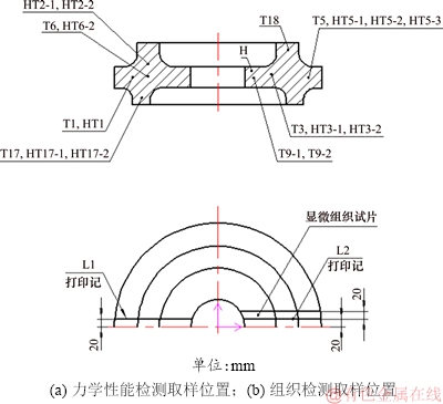 FX_GRP_ID80001667